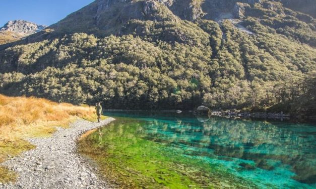 Keajaiban Tersembunyi Selandia Baru: Kisah Suci Blue Lake