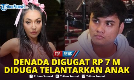 Di Balik Gugatan Ressa, Kuasa Hukum Ungkap Fakta Sebenarnya