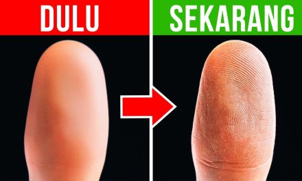 Mengenal Pola Sidik Jari: Ciri Unik Yang Dimiliki Setiap Manusia