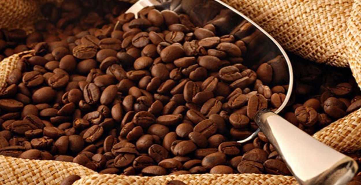 Kenali Berbagai Jenis Kopi Nusantara Yang Mendunia