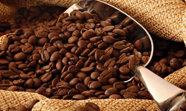 Kenali Berbagai Jenis Kopi Nusantara Yang Mendunia