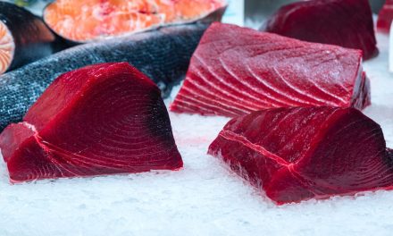 Jejak Indonesia Sebagai Pengeksportir Tuna Terbesar Di Dunia