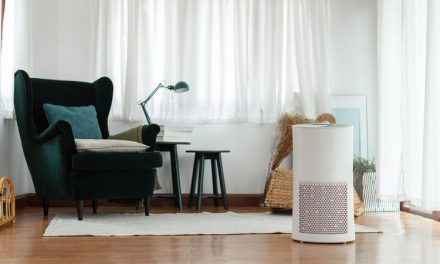 Air Purifier Bisa Kurangi Gejala Alergi Untuk Kamu Dan Keluarga