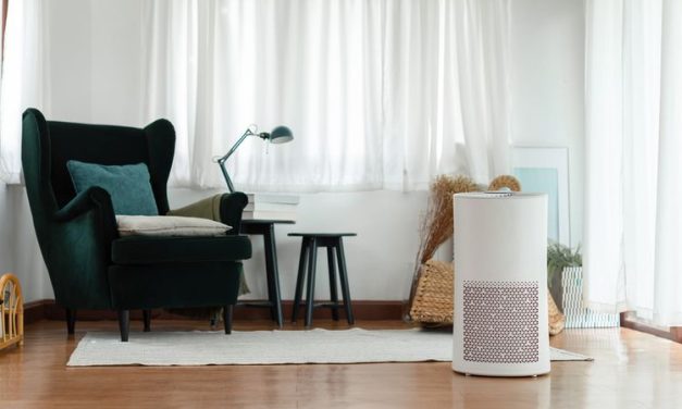 Air Purifier Bisa Kurangi Gejala Alergi Untuk Kamu Dan Keluarga