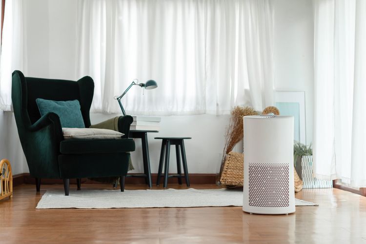 Air Purifier Bisa Kurangi Gejala Alergi Untuk Kamu Dan Keluarga