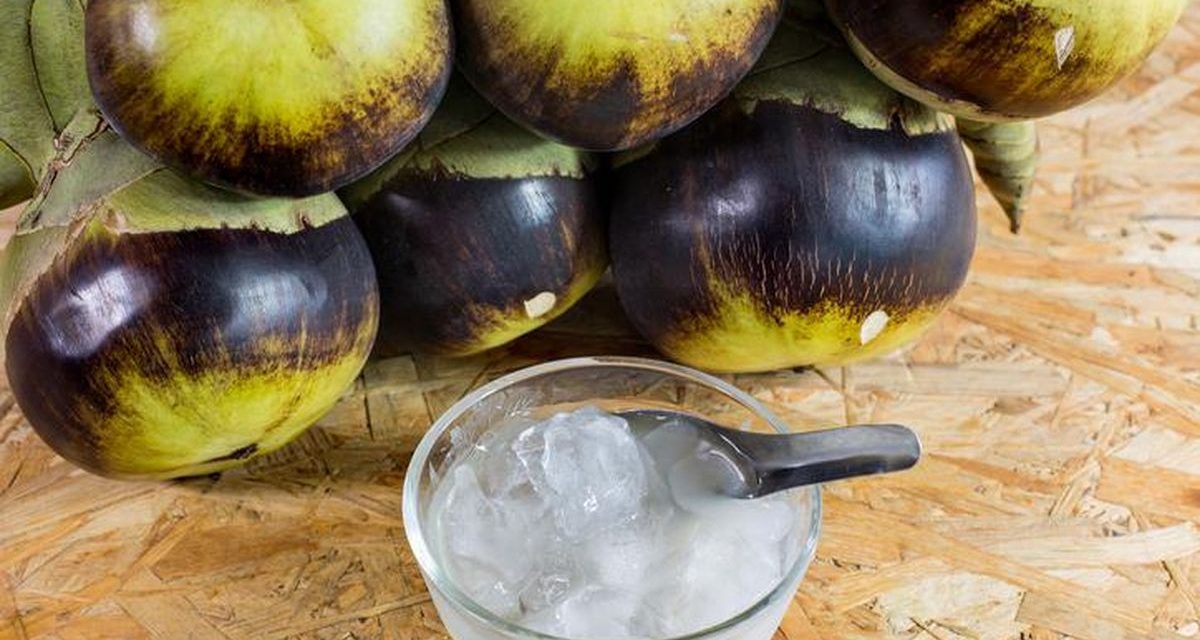Air Kelapa Sebagai Minuman Alami Untuk Detoksifikasi Tubuh