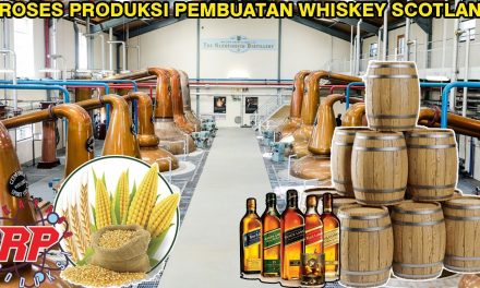 Produksi Whiskey: Dari Penyulingan Tradisional Ke Modern Craft